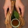 Ayahuasca