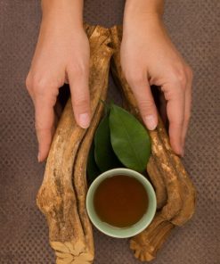 Ayahuasca