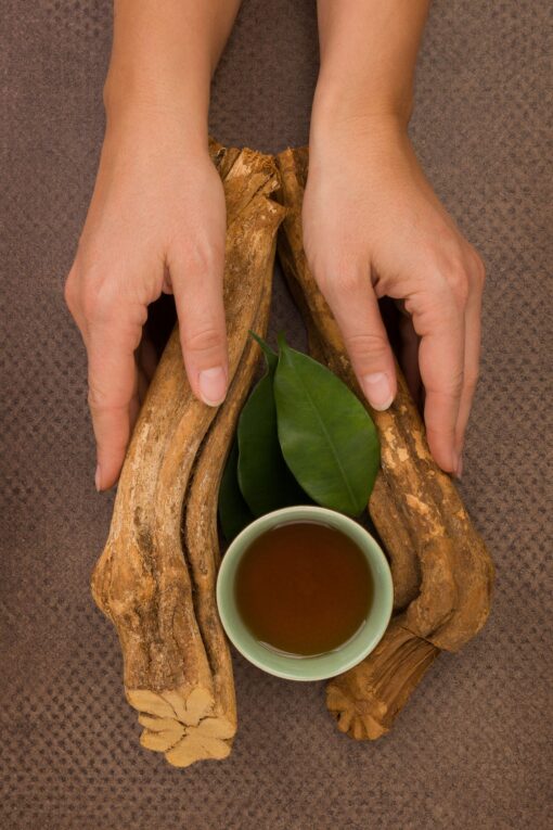 Ayahuasca Ayahuasca