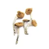 Burma Magic Mushrooms