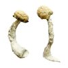 Buy Trinity Magic Mushrooms USA