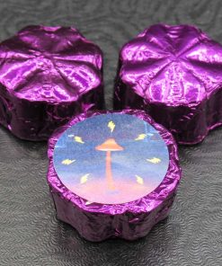 Alacabenzi Chocolate Mushroom