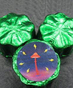 Big Mex Chocolate Mushroom