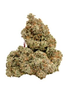 Blue Bugatti Strain