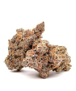 Flight Plan Bulk Flower