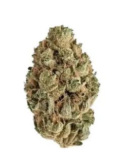 Kiwi Sours Flower cannabis buds beside clearly labeled packaging