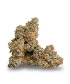 Peach Slushie Flower cannabis buds with clearly labeled packaging