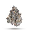 Superboof Strain