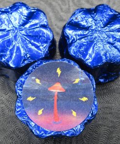 Transkei – Mushroom Chocolates
